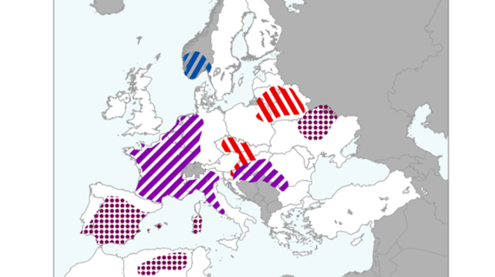 Cartes des conditions climatiques extrêmes entre le 1er mai et le 30 juin. Sur l’Europe, sont à retenir : sécheresse (carrés violets), déficit de pluies (hachures rouges), excès de pluie (hachures bleues, en Norvège seulement) et une vague de chaleur (hachures violettes). © JRC